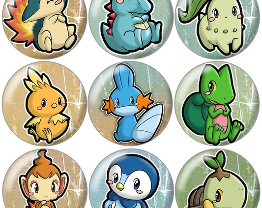 Fan Made Pokemon Magnets